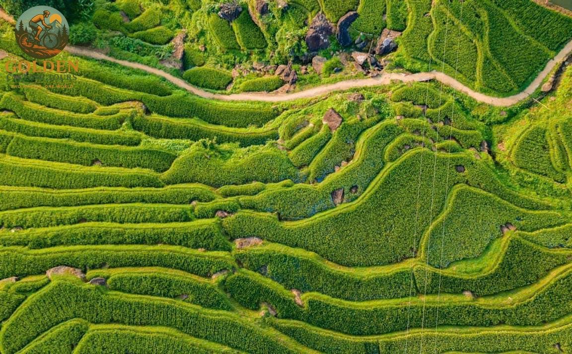12-Day North Vietnam Cycling Adventure: Off the Beaten Path from Hanoi to Ninh Binh